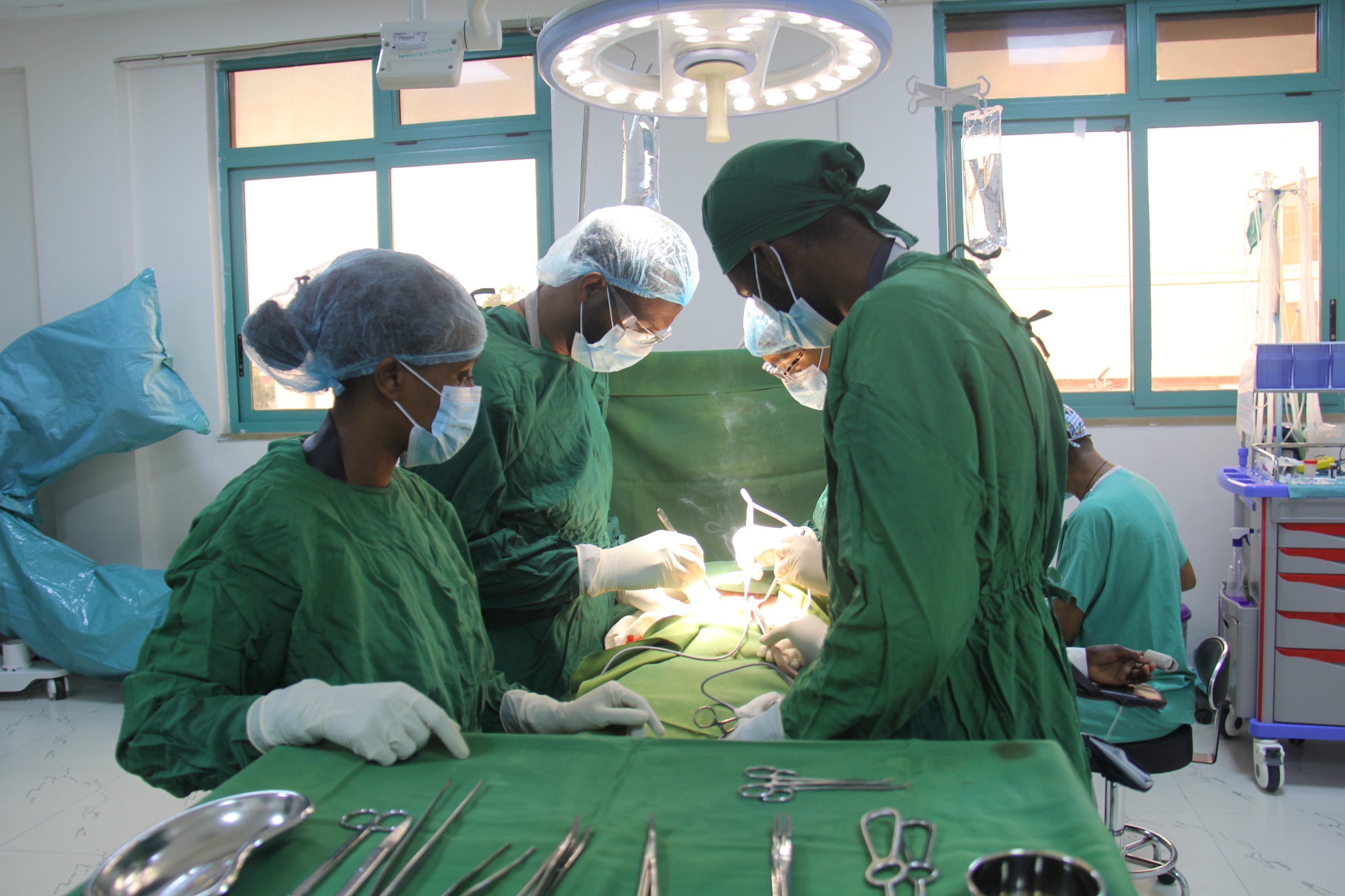 clinical and nursing institute